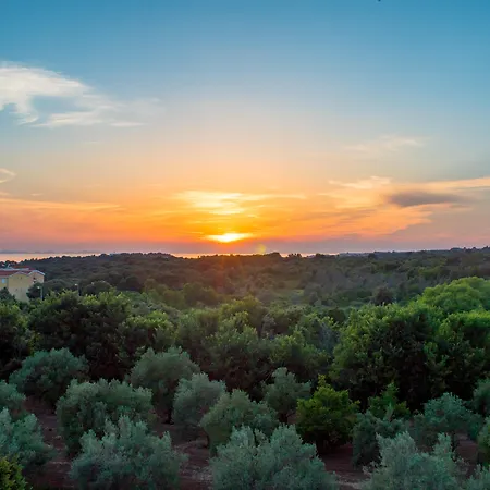 Plat Aparthotel Kožino